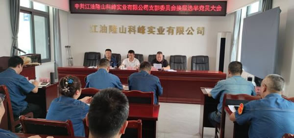 公司黨支部召開黨員大會(huì) 謀劃未來三年黨建新藍(lán)圖2.jpg